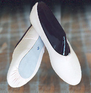 Photo: Ballet Shoes Training Canvas